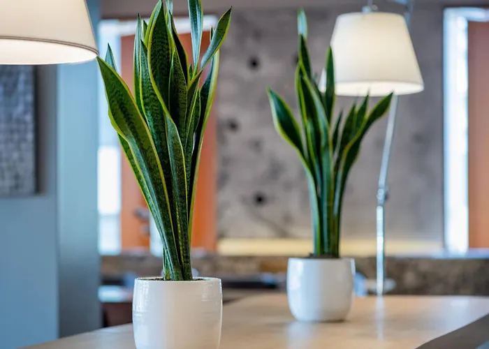 Hotel Ac By Marriott